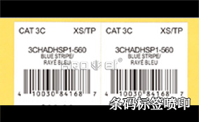 R1電池標簽可變噴印系統技術參數 Technical Parameters