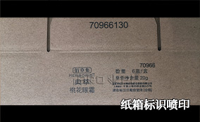 C5多面可變數據噴印系統技術參數 Tehnical Parameters